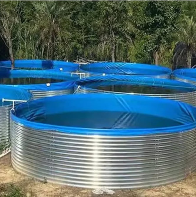 Bassins piscicoles